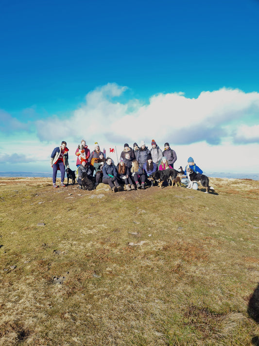 January Hike- Fan Frynych& Craig Carreg Gleisiad