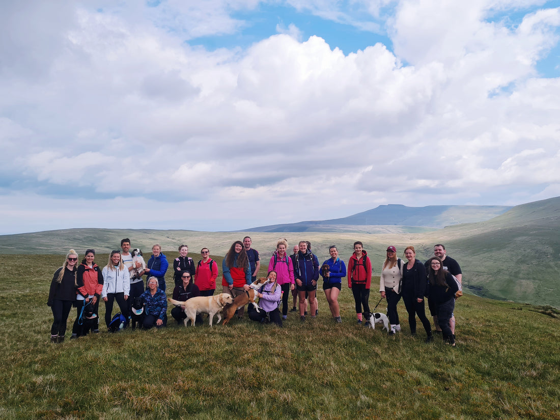 May Hike- Fan Llia & Fan Dringarth