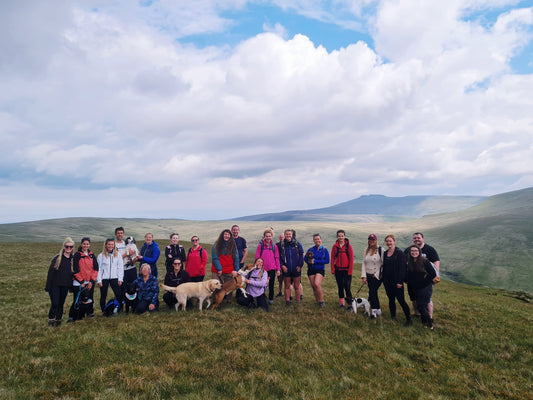 May Hike- Fan Llia & Fan Dringarth